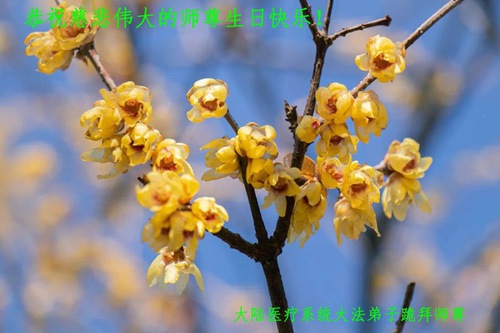 Image for article Praktikující Falun Dafa různých profesí slaví Světový den Falun Dafa a s úctou přejí Mistru Li Hongzhi k narozeninám (27 pozdravů)