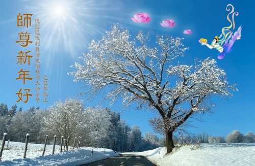 Image for article Praktikující Falun Dafa z šesti zemí západní Evropy s úctou přejí Mistru Li Hongzhi šťastný čínský Nový rok