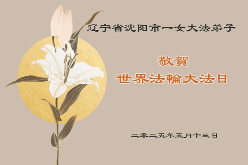 Image for article Praktikující Falun Dafa z města Shenyang, provincie Liaoning, oslavují Světový den Falun Dafa (18 pozdravů)