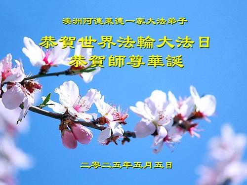 Image for article Praktikující Falun Dafa v Austrálii a na Novém Zélandu oslavili Světový den Falun Dafa
