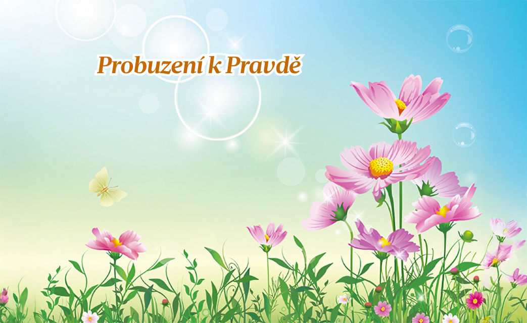 Image for article Můj syn, policista, mi řekl, abych recitovala „Falun Dafa je dobrý“