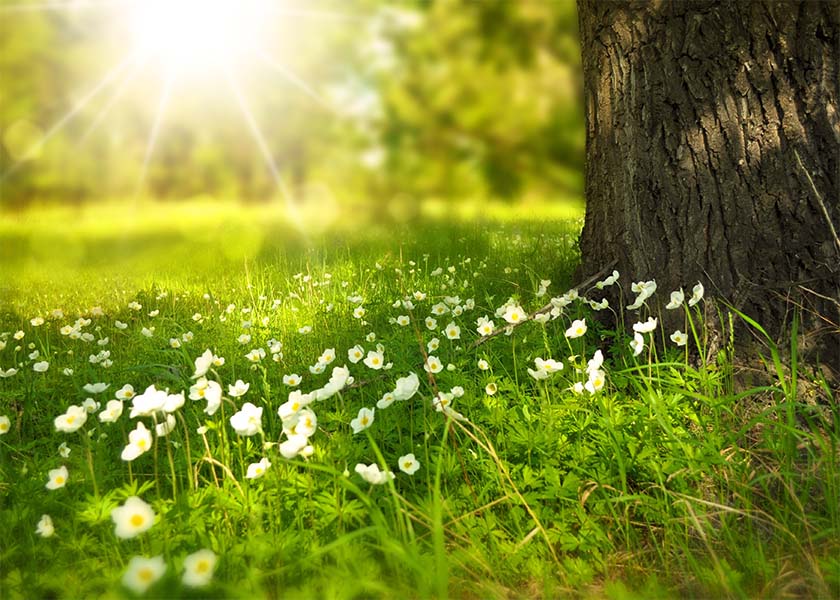Image for article Falun Dafa mi změnil život
