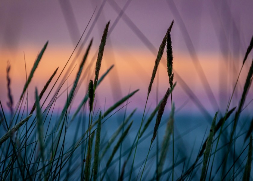 Image for article Opožděná zpráva: 69letá žena z provincie Heilongjiang zemřela v roce 2015 po letech pronásledování kvůli víře ve Falun Gong