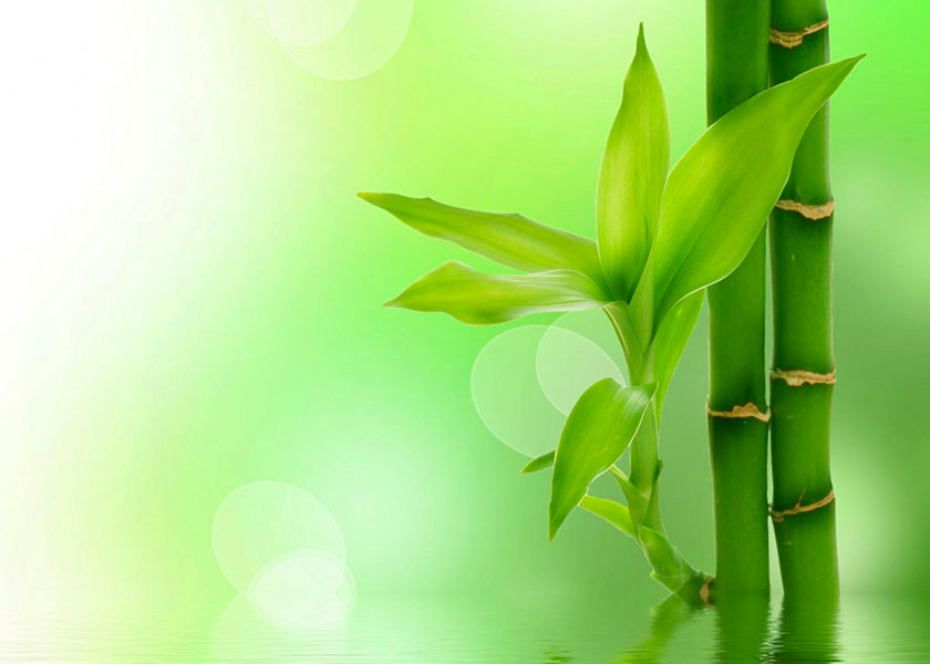 Image for article Co jsem si uvědomila o používání umělé inteligence po přečtení Mistrova nedávného článku