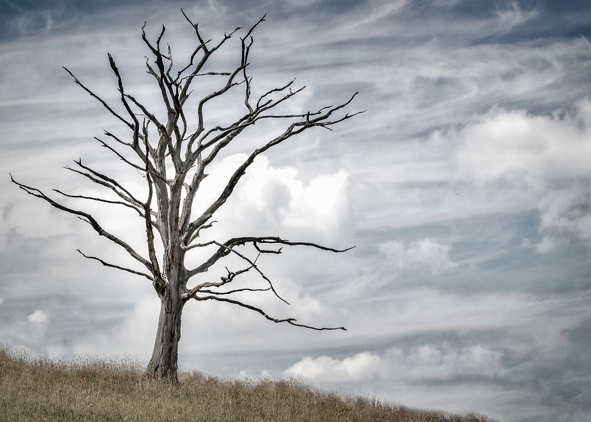 Image for article 45letá žena zemřela tři dny po nástupu do vězení, kde měla vykonat pětiletý trest za praktikováním Falun Gongu