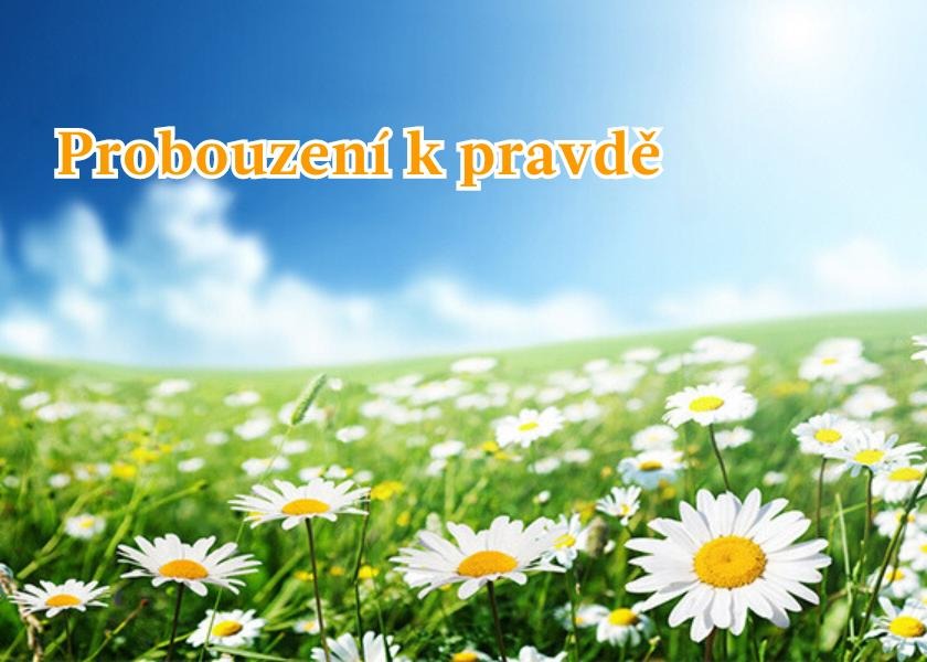 Image for article Můj manžel vykřikl: „Falun Dafa je dobrý, Pravdivost-Soucit-Snášenlivost jsou dobré!“