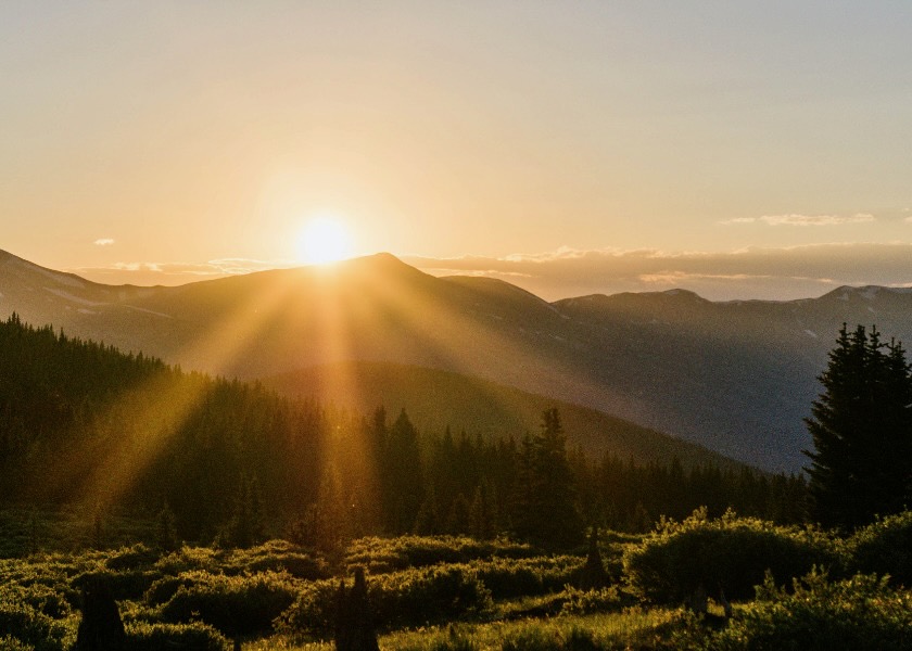 Image for article Když nic nefunguje, měli bychom se spolehnout na své svědomí