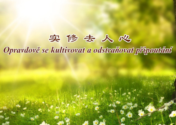 Image for article Falun Dafa vyřešil konflikt s mou tchyní