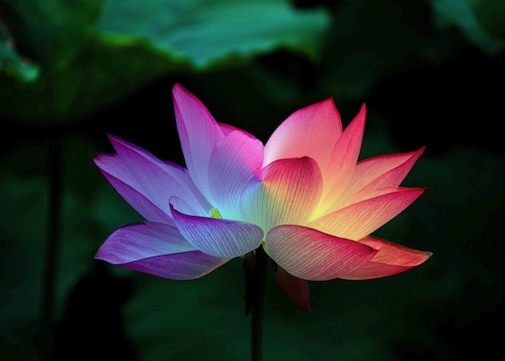 Image for article Překonání představy o stárnutí z pohledu praktikujícího