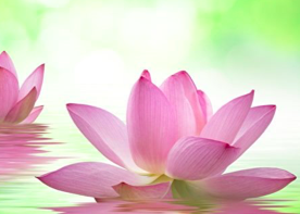 Image for article Účast na Mistrových přednáškách v Tianjinu v roce 1994