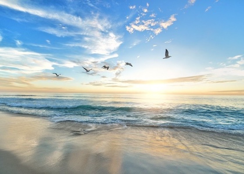 Image for article Lékařka: Falun Dafa je mimořádný – ti, kdo v něj věří, získají užitek