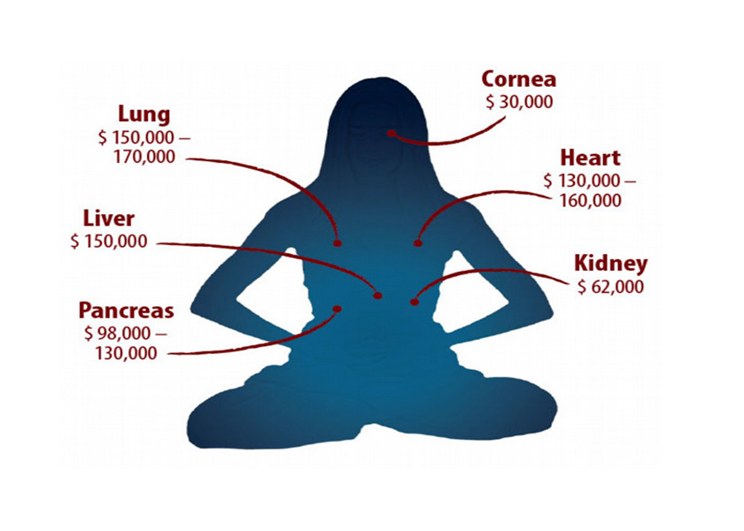 Image for article Dvacet let od odhalení odběrů orgánů prováděných KS Číny: Jaká je situace dnes?
