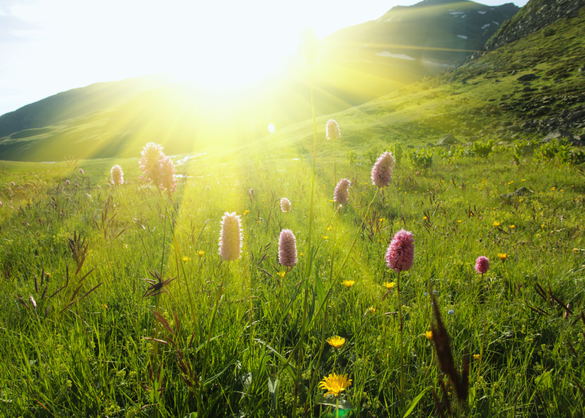 Image for article Stařec zvolal: „Falun Dafa je skutečně dobrý!“
