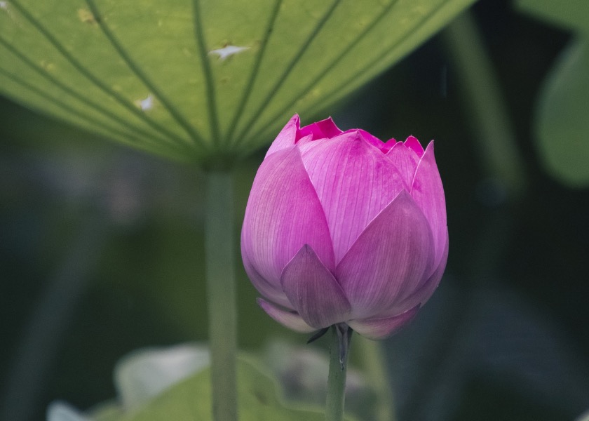 Image for article „Narovnej se ještě o kousek víc!“