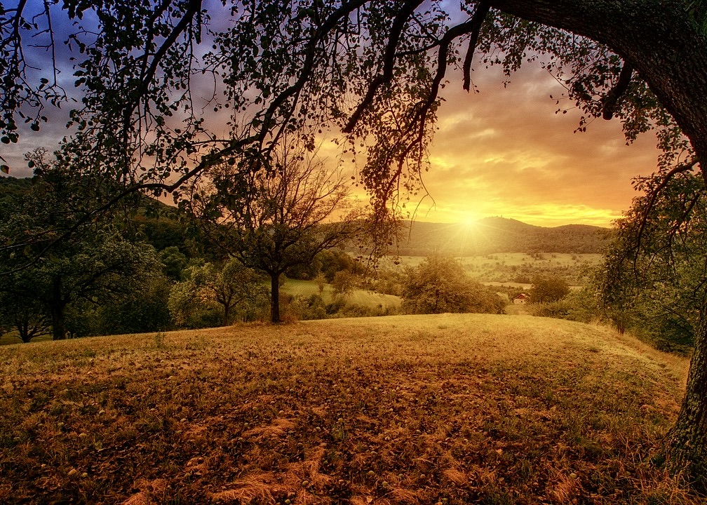 Image for article Úvahy nad procesem odeslání článku ke Dni Falun Dafa