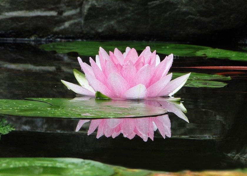Image for article Mé štěstí pramení z praktikování Falun Dafa