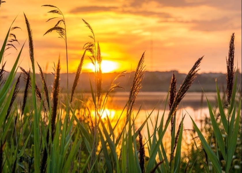 Image for article Úžasné zkušenosti mé rodiny